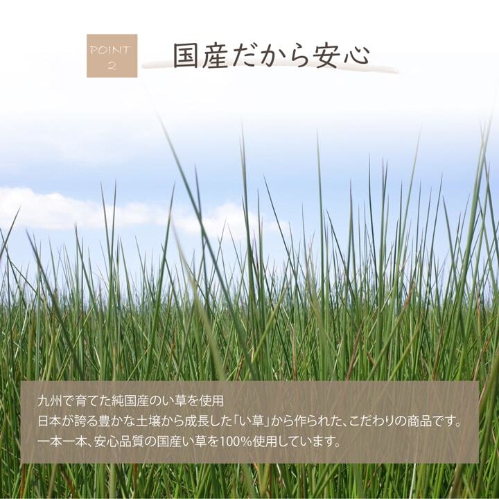 日本製 国産 消臭剤 い草 天然素材 デオグラス 帯白 約10×6.5cm丸