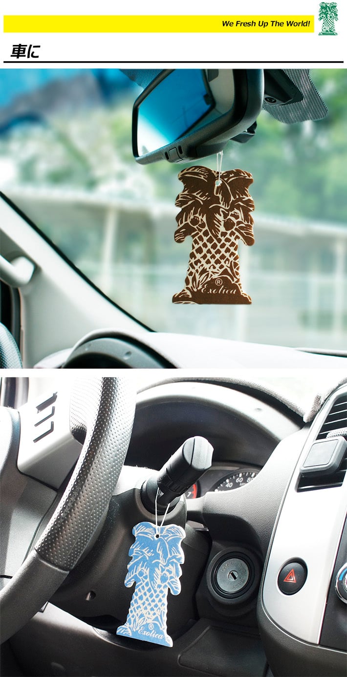 エキゾチカ パームツリー 同種 5枚セット 【全16種】 芳香剤 EXOTICA PalmTree AirFreshener 車 部屋 吊り下げ カーフレッシュナー プレゼント アメリカ ハワイ メール便送料無料