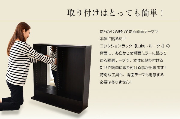 収納家具 ラック コレクション -Luke-ルーク 専用ミラー2枚セット ロータイプ用/深型・浅型共通