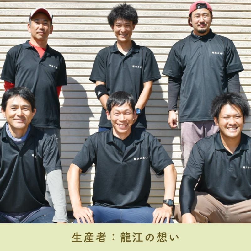 【予約】長野県産りんご 秋映 訳あり ご自宅用 果物 フルーツ お取り寄せ 産地直送 【送料無料(一部地域除く)】