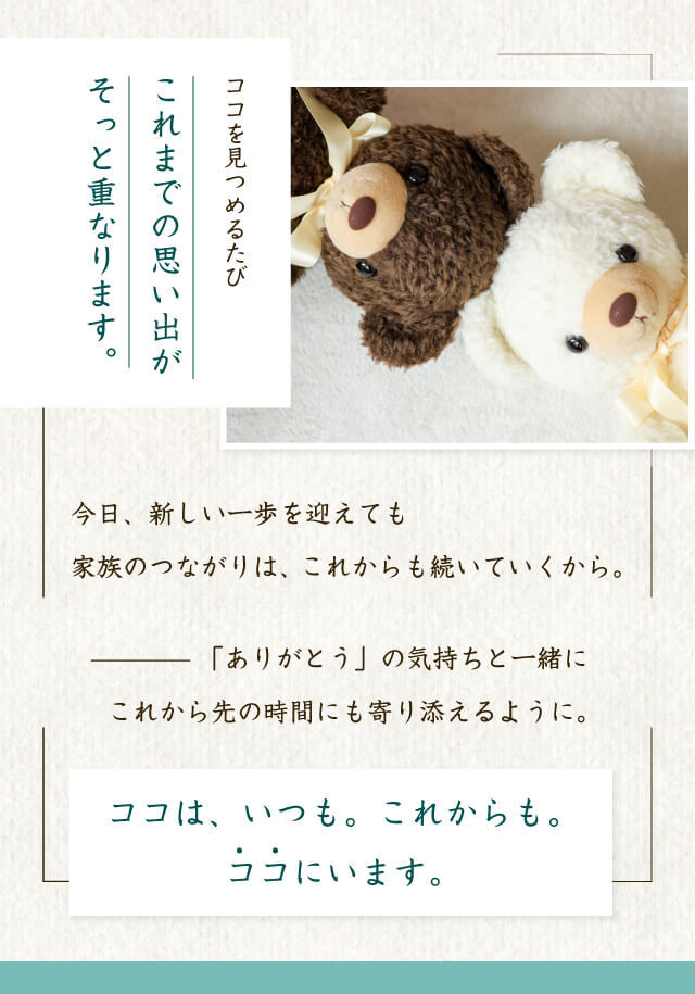 【日本製】ココ体重ベア1体｜ウェディング両親贈呈品・出産記念・成人式の贈り物に