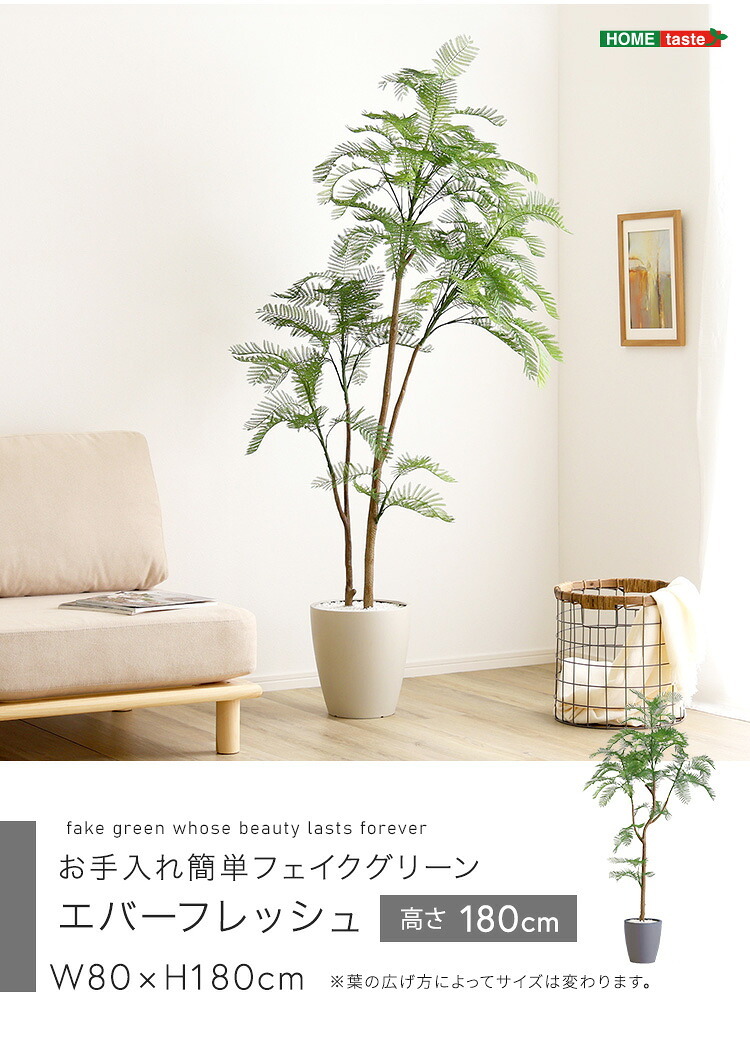 お手入れ簡単 フェイクグリーン エバーフレッシュ Lサイズ(180cm) 新生活