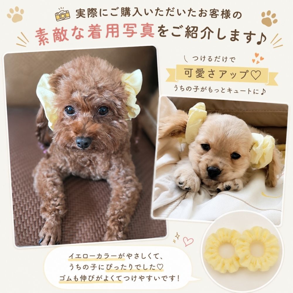 犬用 ヘアゴム 2点セット ペット用 ヘアアクセサリー シュシュ 犬 リボン風 耳飾り ヘアアクセ かわいい 小型犬 ペット用品 おしゃれ イエロー
