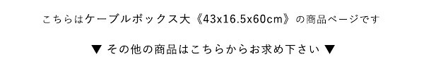 収納家具 ラック ケーブルボックス 大 RTSB-H60 3色対応 収納ボックス 収納ケース ケーブル収納 電源タップ収納 ルーター収納 小物入れ 小物置き 可動棚 コード入れ ボックス 木製 シンプル おしゃれ