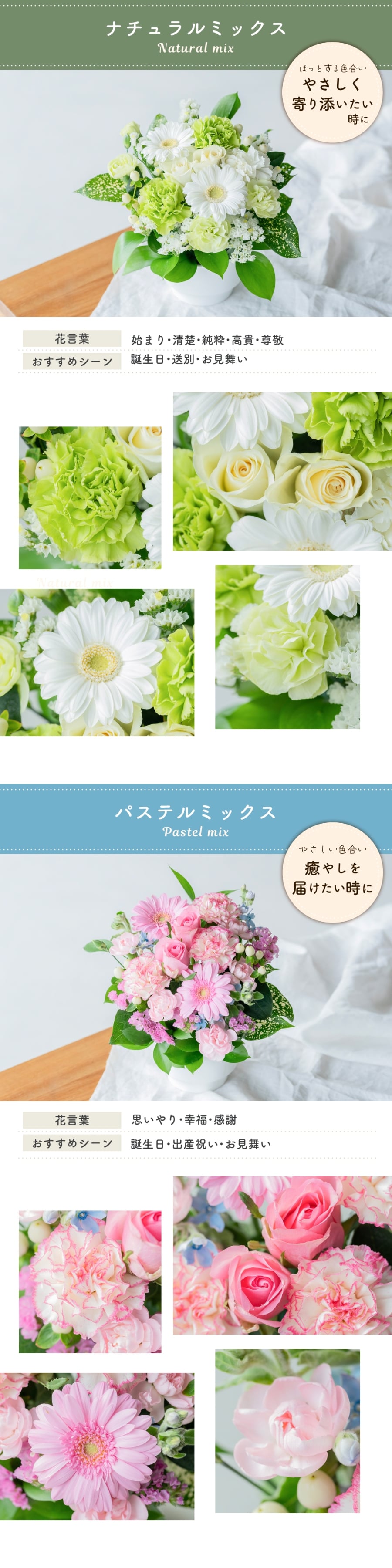 カラフルガーデン アレンジメントS  生花 花市場から直送 お祝い 誕生日 記念日