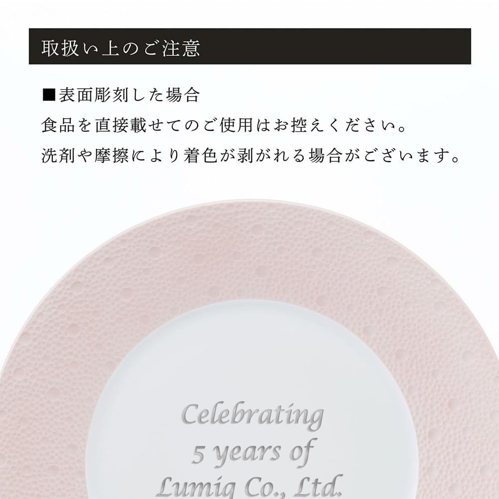 BERNARDAUD ベルナルド エキュム ローズ ディナープレート 26cm ペア 名入れ彫刻代込み 名前 彫刻 刻印 お祝い プレゼント ギフト 記念日 高級 ブランド 結婚祝い 新築祝い 誕生日 法人 お皿 プレート インテリア ピンク 大皿 ウェルカムボード