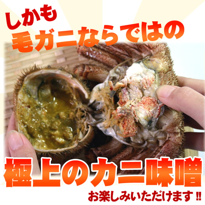 毛ガニ 訳あり ボイル 毛ガニ 2kg詰 送料無料 ※沖縄は送料別途加算