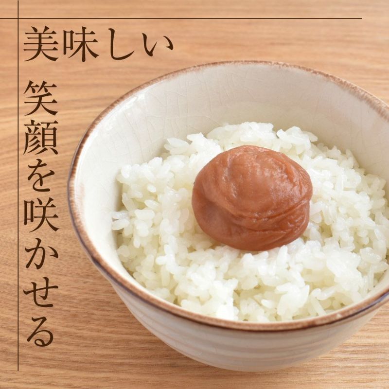 【特選紀州南高梅】【まろやか梅250g×2パック（塩分約10％）】【紀州産】【調味梅干】選べるサイズ ご飯にもぴったりのはちみつ梅干し つけもの 梅干し ギフト プレゼント 内祝