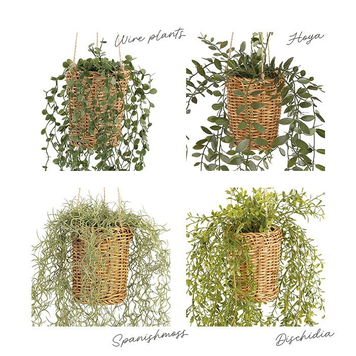 CT触媒 フェイクグリーン ハンギング 通販 キシマ アーティフィシャルグリーン 観葉植物 フェイク グリーン 吊り下げ バスケット 壁掛け 人工観葉植物 消臭 ハンギングバスケット 小さめ 小型 おしゃれ リビング リアル kishima 造花 インテリア