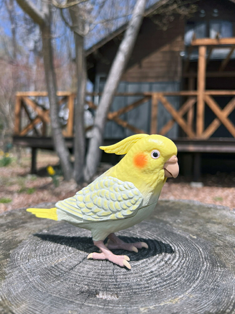 【送料無料・包装無料】タカラトミーアーツ もっとおしゃべり天才オカメインコちゃん / ギフト 父の日 母の日 敬老の日 シニアプレゼント 幼児玩具 おもちゃ 保育園 幼稚園 幼児おもちゃ 動物おもちゃ 動物玩具 男の子 女の子 セキセイインコ バーチャルペット 高齢者 音声認識 クリスマス クリスマスプレゼント インコの日