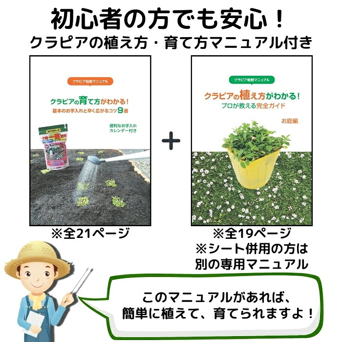 【肥料プレゼント中】 クラピア K3 ピンク品種  9cmポット苗  200株 有機入り一発果菜肥料1600gと植栽マニュアル付き  ピンク色 桃色 イワダレソウ改良種 グランドカバー プランツ 植物 ピンクの花 庭 屋上 緑化 耐寒性 多年草 地被植物 ほふく性 下草 背が低い 宿根草