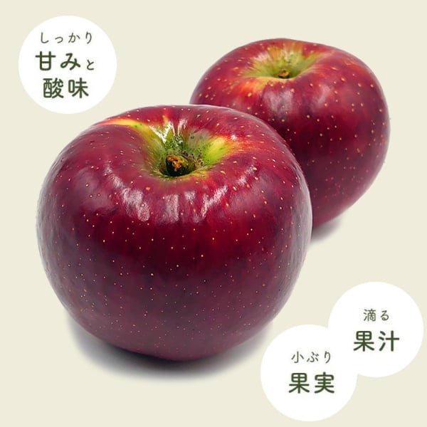 【予約】長野県産りんご 秋映 訳あり ご自宅用 果物 フルーツ お取り寄せ 産地直送 【送料無料(一部地域除く)】