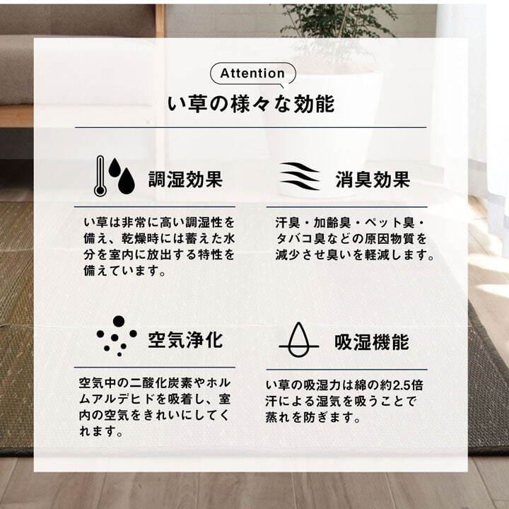 夏ラグ 夏用カーペット ラグ 小林製薬 持続性抗菌剤 KOBA-GUARD 制菌 抗菌防臭 滑り止め ウレタン 不織布 夏 い草 グラデーション 約190×250cm