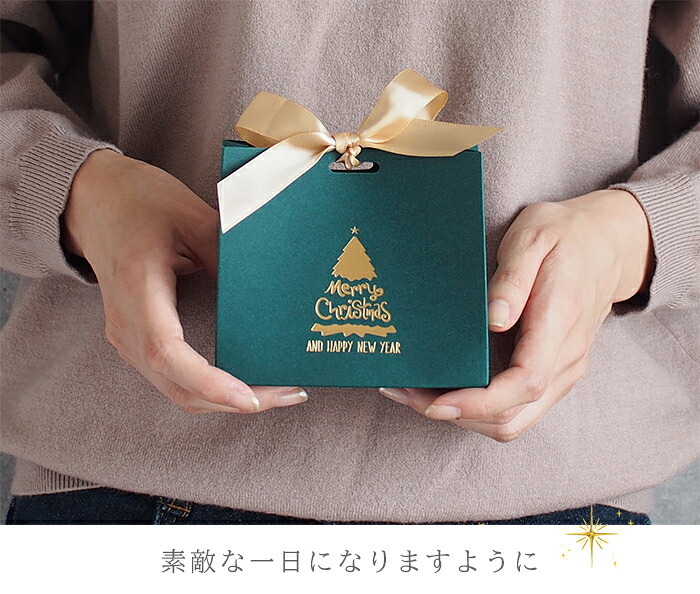クリスマス ラッピング 紙袋 バッグ リボン 贈り物 サプライズ 記念日 彼女 彼氏 プレゼント おしゃれ