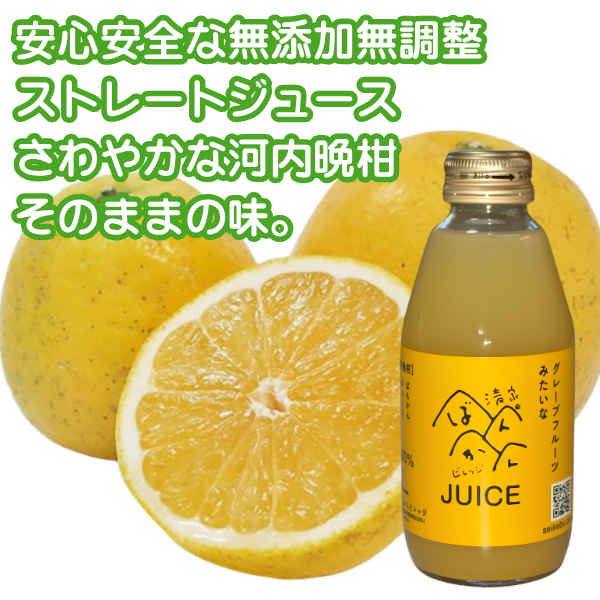 河内晩柑ジュース 200ml ギフト箱 愛媛県産【贅沢な果汁100％】送料無料