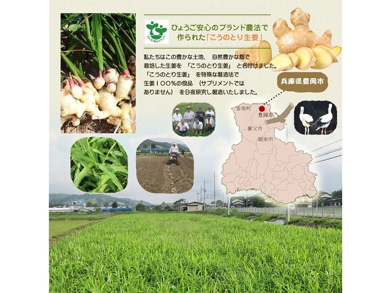 ギフト用【無添加】ハチミツおろし生姜とはちみつおろし生姜レモン プレゼント  誕生日