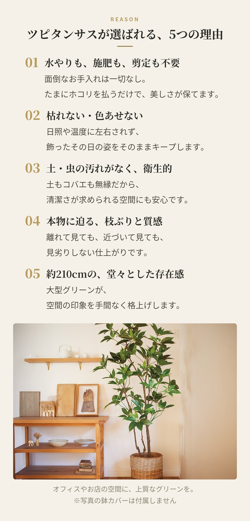 観葉植物 造花 ツピタンサス BROWN 全高約210cm 大型 3本立ち フェイクグリーン 高級 本物そっくり リアル おしゃれ インテリア 人工観葉植物 アーティフィシャルグリーン オフィス 店舗 ホテル 開店祝い 室内 リビング 玄関 風水 ツピダンサス