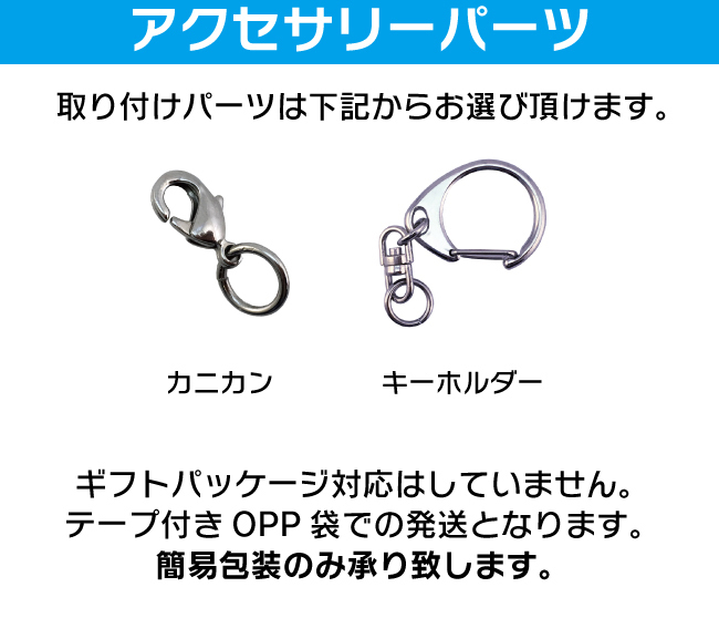 ゆうパケット発送 名入れ文字入れOK 昆虫キーホルダー ナナホシテントウ 名入れ お酒 ギフト プレゼント 誕生日 結婚祝い 結婚記念日 出産祝い 還暦祝い 男性 女性 父の日 敬老の日 ＊他の商品はこちら→