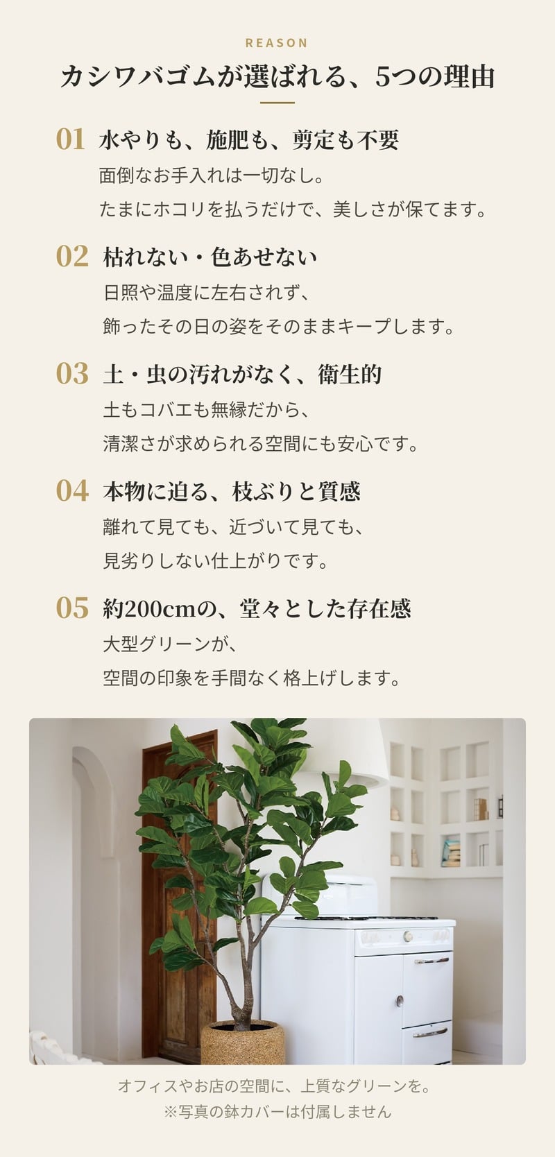 観葉植物 造花 カシワバゴム BROWN 全高約200cm 大型 曲がり幹 フェイクグリーン 高級 本物そっくり リアル おしゃれ インテリア 人工観葉植物 アーティフィシャルグリーン シンボルツリー オフィス 店舗 ホテル 開店祝い 室内 リビング 玄関 風水 ゴムの木