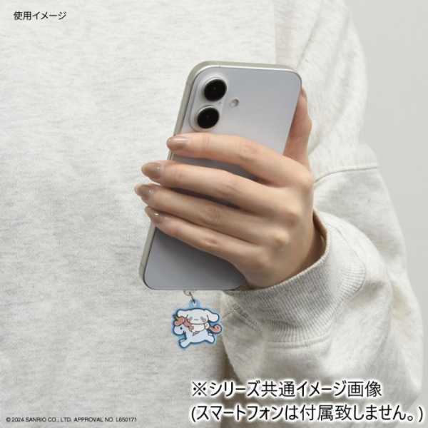 サンリオ ポチャッコ USB Type-C コネクタチャーム アクセサリーピン ホコリ防止 保護 差し込み式 スマホ タブレット キャラクターグッズ 雑貨 かわいい サンリオ正規ライセンス品