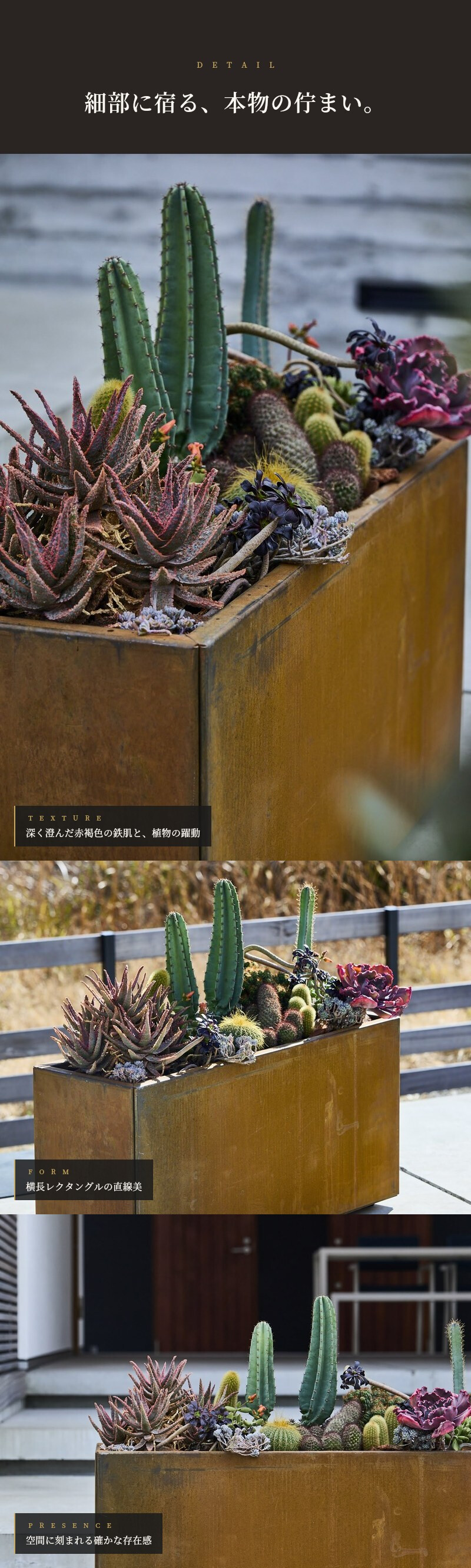 コールテン鋼 高級植木鉢 おしゃれ 大型 横長 長方形 W900 アンティーク 経年美 Patina レクタングルプランターL900 A-PLUS 屋外 観葉植物 多肉植物 寄せ植え 花 鉢カバー 北欧 モダン ガーデニング 玄関 庭 テラス パティナ