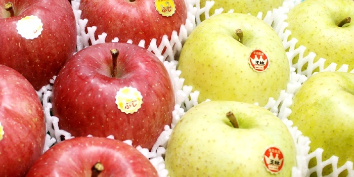 【11月下旬頃発送】青森 りんご 王林 ＆ サンふじ ミックス 家庭用 5C箱(約5kg:13～16個入)  一華ベジフル ふじ ふじりんご 蜜入り リンゴ 林檎 アップル 贈答 ギフト ３キロ 5キロ 10キロ 訳あり 糖度 青森産 青森県産 青森名産 2026 お歳暮【送料無料】