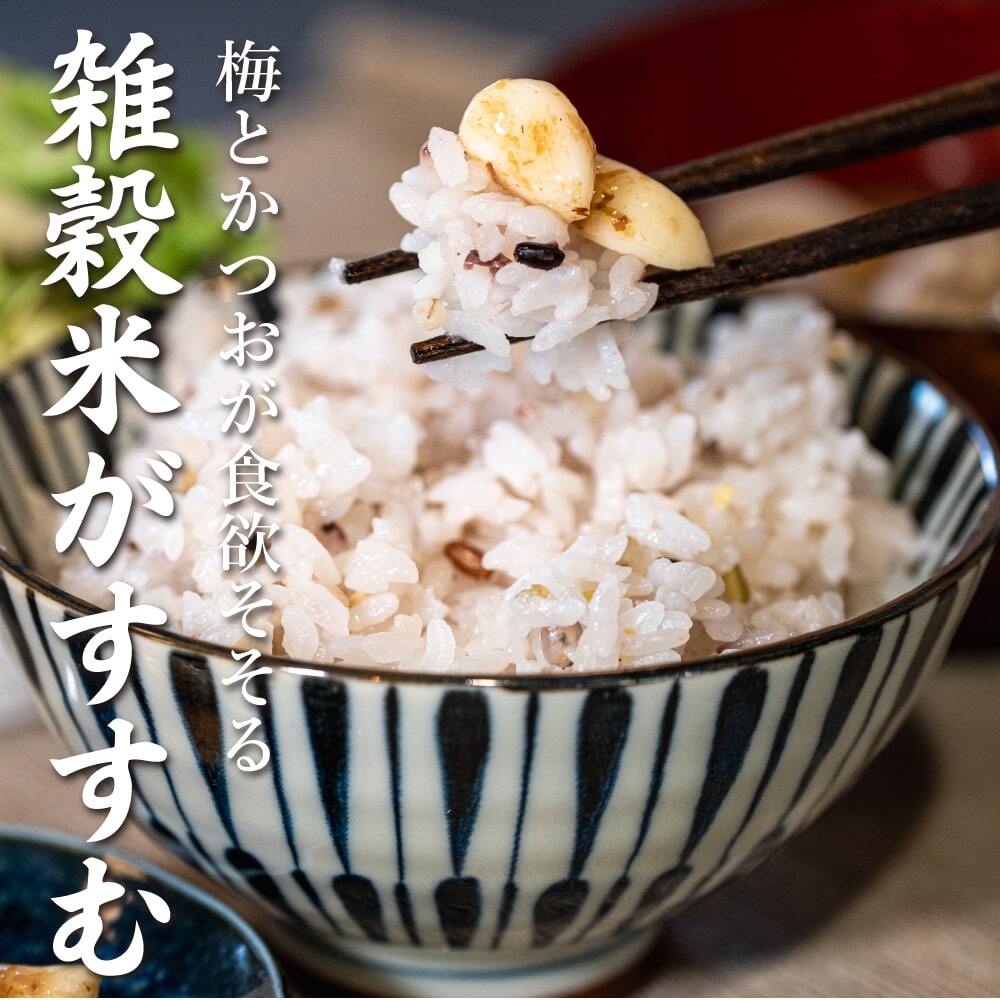 梅にんにく 元気の源 梅ニンニク【内容量が選べる100g~3kg】雑穀米本舗 にんにく 大蒜 梅 ウメ 梅鰹 梅かつお 無臭ニンニク ごはんのお供 おつまみ おかず ニオイなし スタミナ やみつき