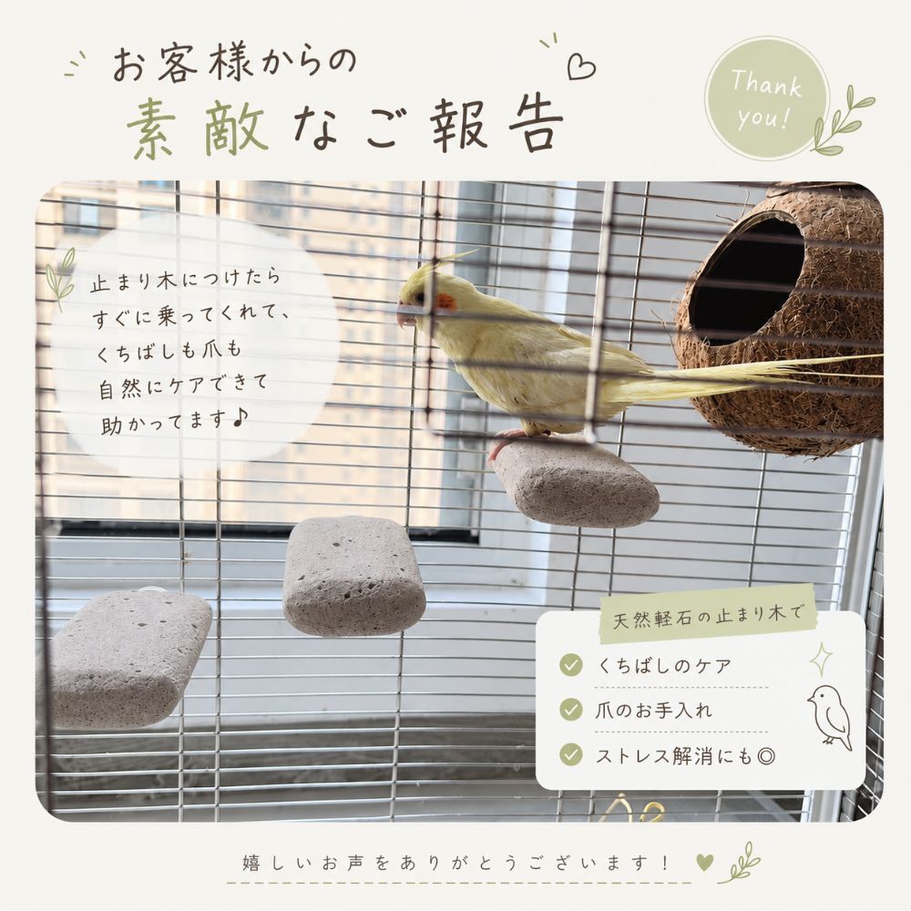 天然木 小鳥用ステップ 止まり木 ステージ 木製スタンド ケージ取り付け インコ オウム 文鳥 鳥用用品