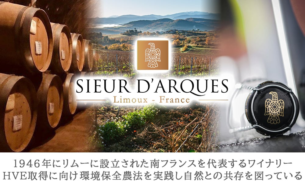 お歳暮 贈答 ワインギフト【無料 リボンラッピング メッセージカード】フランス ランドック クレマン・ド・リムー スパークリングワイン シャンパン製法 泡 辛口 750ml プレゼント 誕生日 結婚祝い 結婚内祝い お返し 会社 両親 夫婦 送料無料
