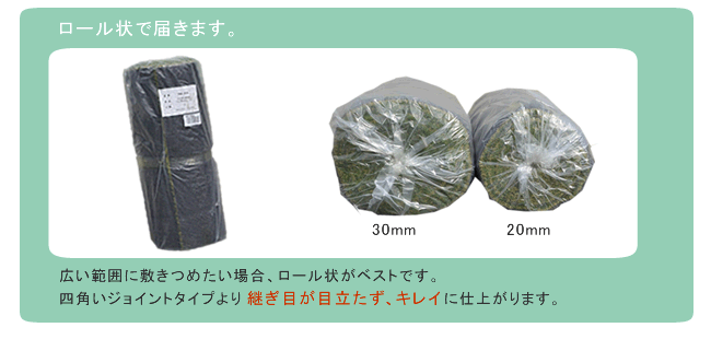 ガーデン エクステリア ロール人工芝 芝丈30mm 幅1m×長さ10m SST-FME-3010 送料無料 ロールタイプ リアル 屋上緑化 ベランダ 庭 屋外 グリーンターフ ターフ