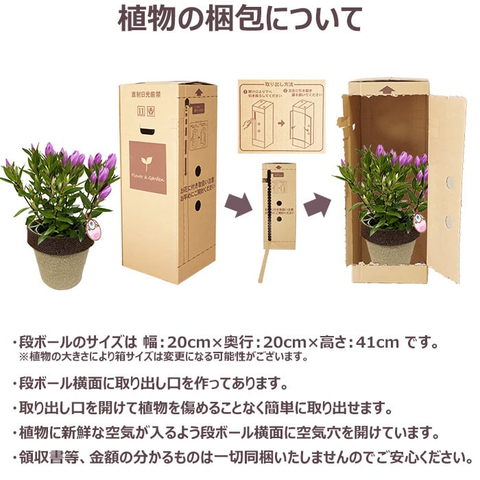 祝 敬老の日 プレゼント ギフト リンドウ メルヘンアシロ4号 バスケット 9月21日 鉢花 りんどう 送料無料 沖縄・離島を除く