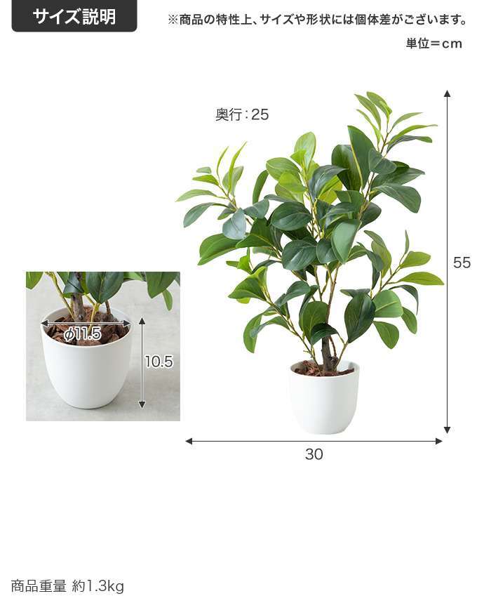 【高さ55cm】光触媒人工観葉植物 ペペロミア 幅30cm×奥行25cm×高さ55cm コンパクト 天然木 お部屋に気軽に飾れて空間を美しく彩るフェイクグリーン 本物の植物のようなリアルな質感とインテリアに馴染む風合いが魅力です
