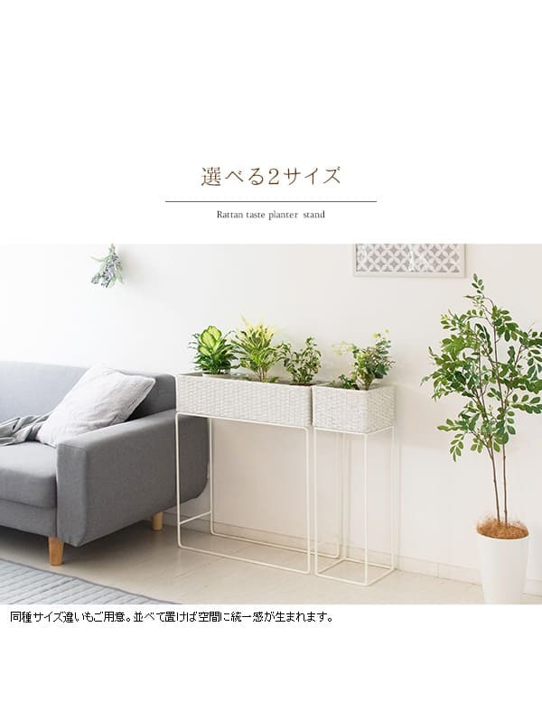 ガーデン エクステリア フラワースタンド 室内 白 プランタースタンド ラタン 玄関 幅60 花台 籐 高さ70 プランター ハイ スリム 1段 おしゃれ 高め アイアン モダン インテリア スチール 北欧 室内用 玄関先 玄関前 玄関ホール 多肉 家具