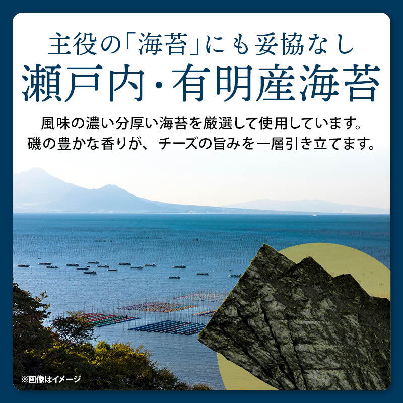前田家 のり天 ゴルゴンゾーラチーズ味 100g/230g 海苔天 のり天ぷら ゴルゴンゾーラ チーズ 濃厚 チーズ味 チーズスナック 国産海苔 国産 海苔 濃厚 ワイン おつまみ おやつ 送料無料 MAEDAYA