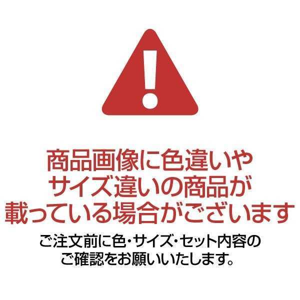 ペットキャリー M リッチェル キャンピングキャリー ファインR ダブルドア アイボリー 犬 猫 ハードキャリー クレート ペットハウス 日本製 自動車 シートベルト固定 旅行 通院 お出かけ