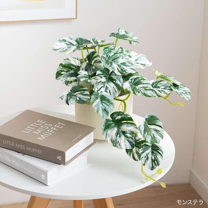 【高さ55cm】光触媒人工観葉植物 パキラ 幅35cm×奥行35cm×高さ55cm コンパクト 天然木 お部屋に気軽に飾れて空間を美しく彩るフェイクグリーン 本物の植物のようなリアルな質感とインテリアに馴染む風合いが魅力です