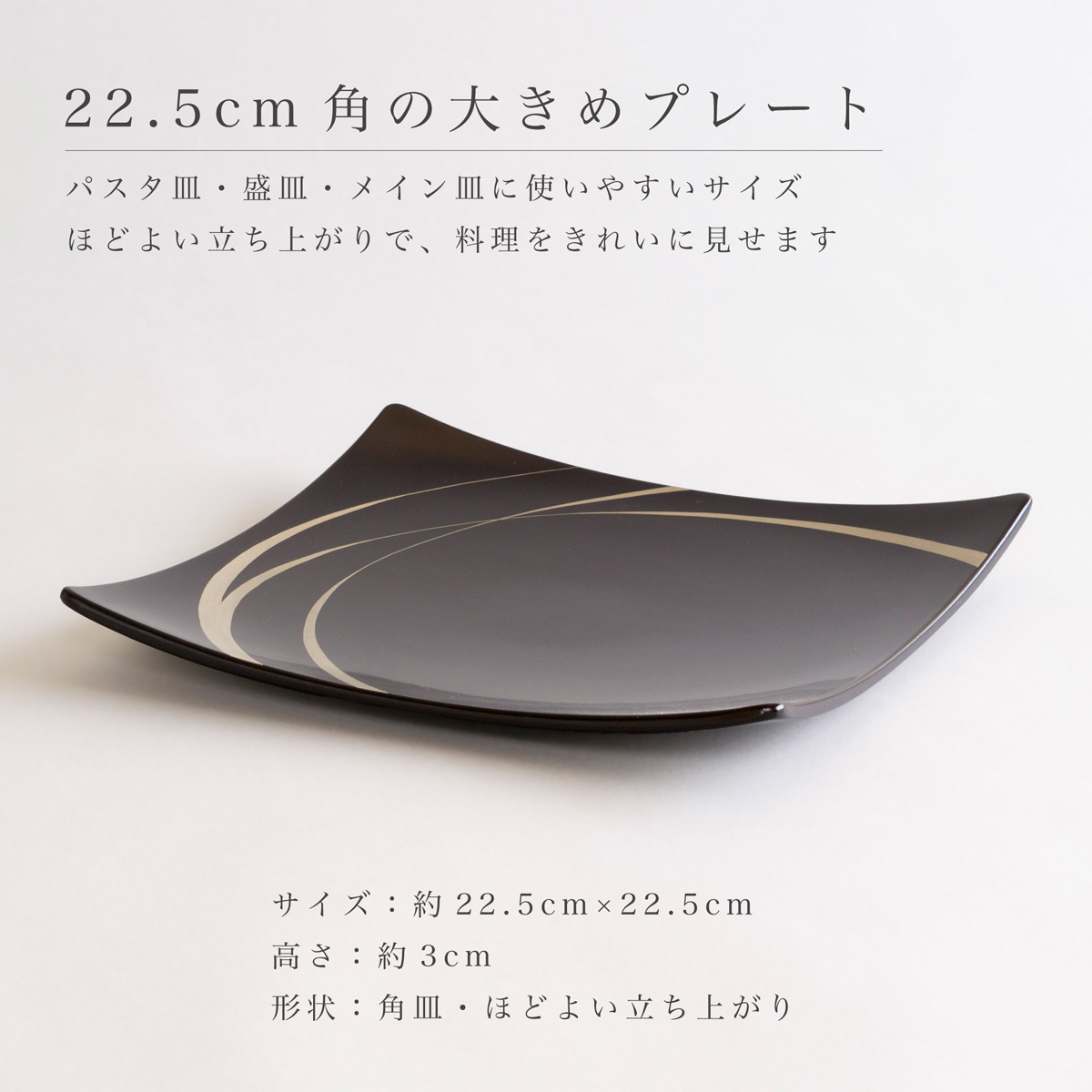 【4柄から2枚選べる】吹上皿 大 ペアセット 22.5cm 越前漆器 日本製 角皿 大皿 パスタ皿 盛皿 結婚祝い 新築祝い 結婚記念日 ギフト