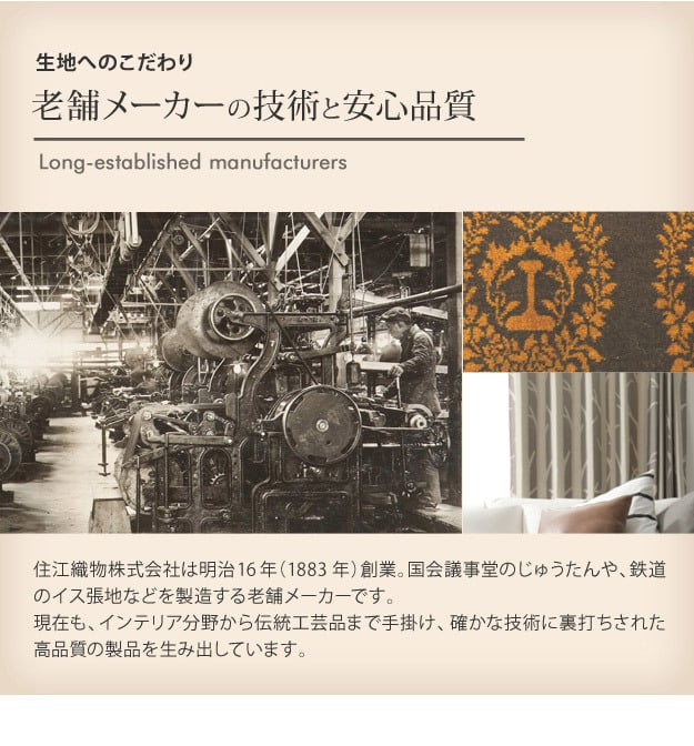 玄関マット 室内 洗える 玄関マット 〔エルブ〕 75x45cm 屋内 長方形 柄 おしゃれ エントランスマット マット ラグマット ウォッシャブル 滑り止め 防ダニ スミノエ 日本製