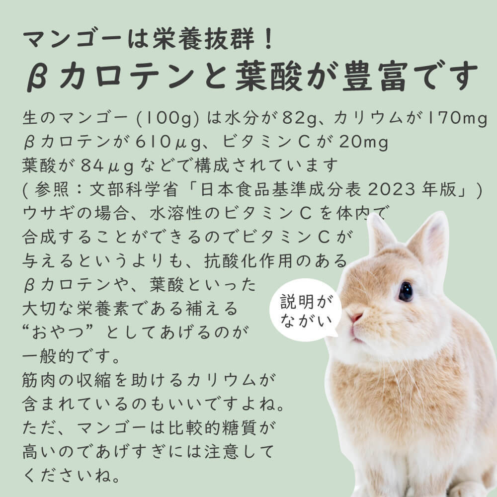 【砂糖不使用】小動物用フリーズドライマンゴー 20g 40g 60g 1袋あたり約35枚入り スライス ウサギ ハムスター モルモット インコ リス チンチラ ハリネズミ モモンガ おやつ 人も食べれる 完全無添加 砂糖ゼロ フルーツ 乾燥 果物 ペット 動物 中国産 送料無料
