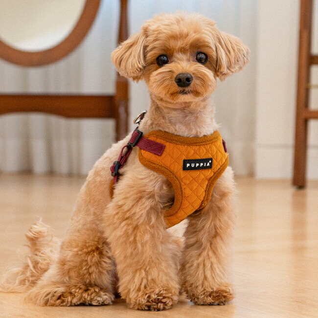 PUPPIA パピア ハーネス アービン 快適ハーネス Cタイプ 秋冬 防寒 プレゼント ギフト 贈り物 誕生日 小型犬 犬用 犬服 トイプードル チワワ S M 散歩用 胴輪 快適設計 柔らかい 着せやすい バックル式 暖かい おしゃれ