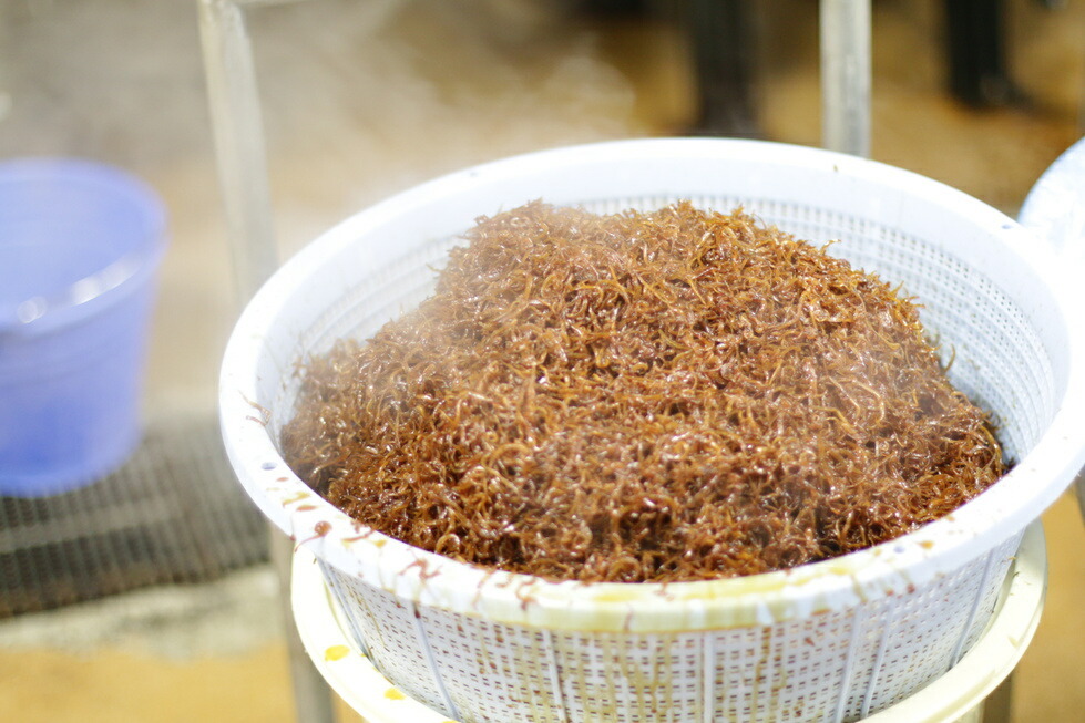 荒木國一商店からの　松茸昆布100g(三重県)工場直送