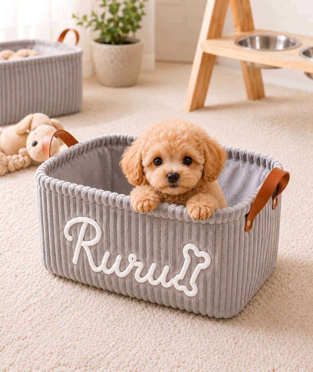 ペット用品 収納ボックス 名入れ オリジナル 犬 猫 おもちゃ おやつ 小物整理 誕生日 プレゼント 愛犬 愛猫 うちの子グッズ ギフト 整理箱 インテリア 収納ケース 名前入り オーダーメイド 犬好き 猫好き ペット好き 母の日 父の日 敬老の日 クリスマス お祝い 記念日 新生活 贈り物 ペットグッズ おもちゃ入れ おやつ入れ リビング 寝室 ナチュラル雑貨 犬用 猫用