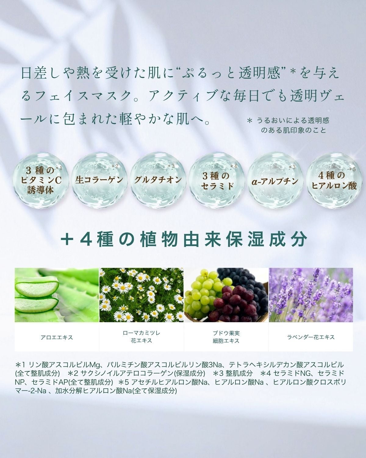 ボタニカルセラムジェルパック/クラフトソープS/フォーミングネット/泡立てネット  フェイスパック 洗顔料 スキンケアセット  フェイスパック 洗顔料 スキンケアセット