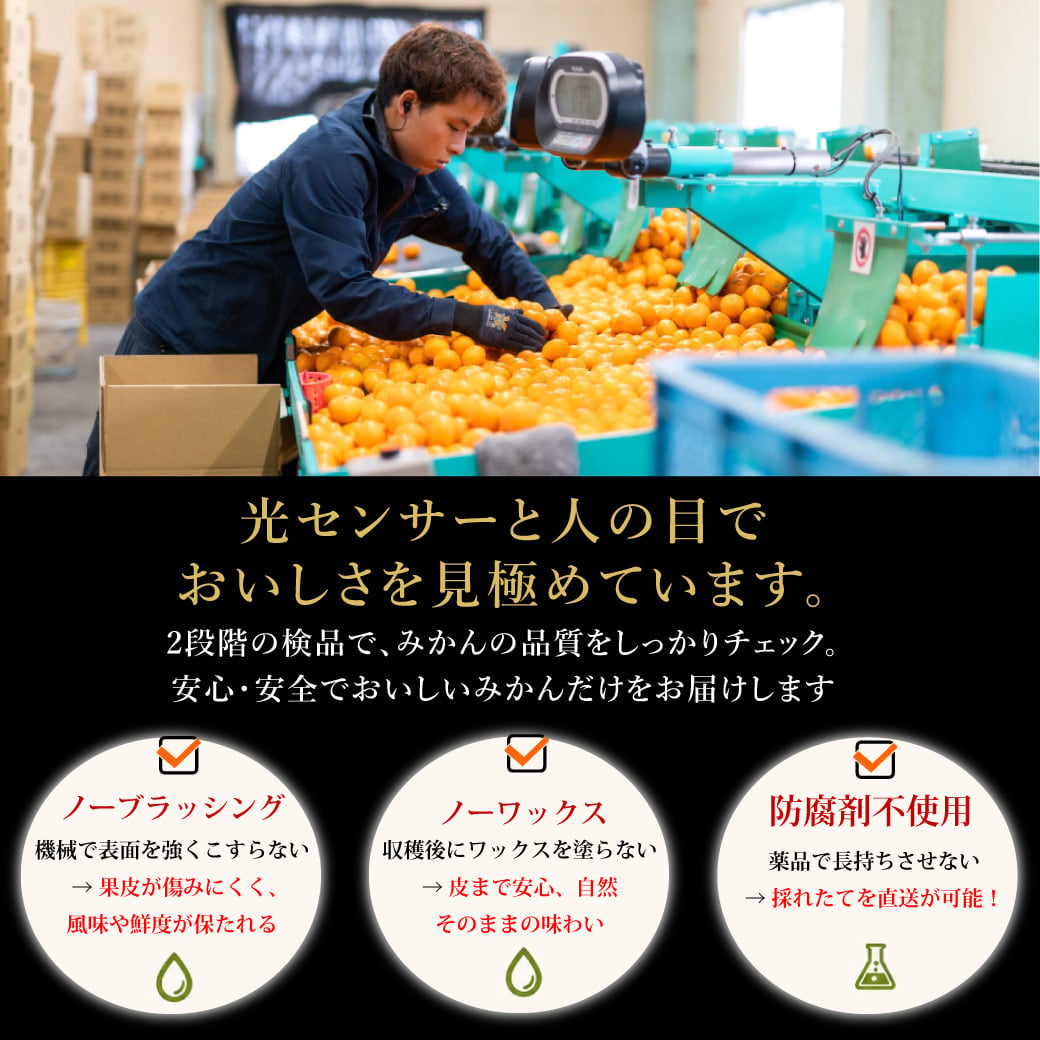 みかん 2.5kg 贈答用 秀品 特選 送料無料 和歌山 S M 小粒 中粒 手詰め 有田みかん 温州みかん ご当地 お出産内祝い 贈答 ギフト 誕生日 結婚祝い 出産祝い 内祝い ギフト
