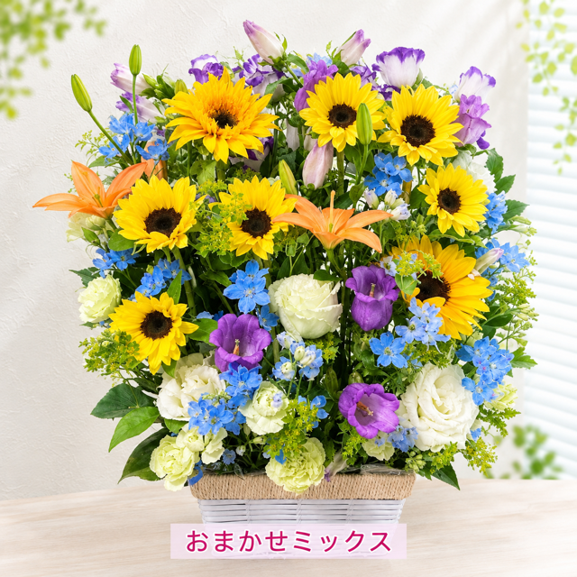 ご希望の色合いで選べる スクエアバスケットアレンジメント 高さ45cm 生花 フラワーアレンジメント 花ギフト フラワーギフト 誕生日 お祝い お見舞い 送別 季節行事 お供え お悔やみ 最短発送 送料無料【北海道・沖縄・九州・四国・中国・離島は配送不可】