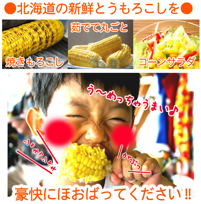 イエロースイートコーン 北海道 とうもろこし 20本入 送料無料 ※沖縄は送料別途加算