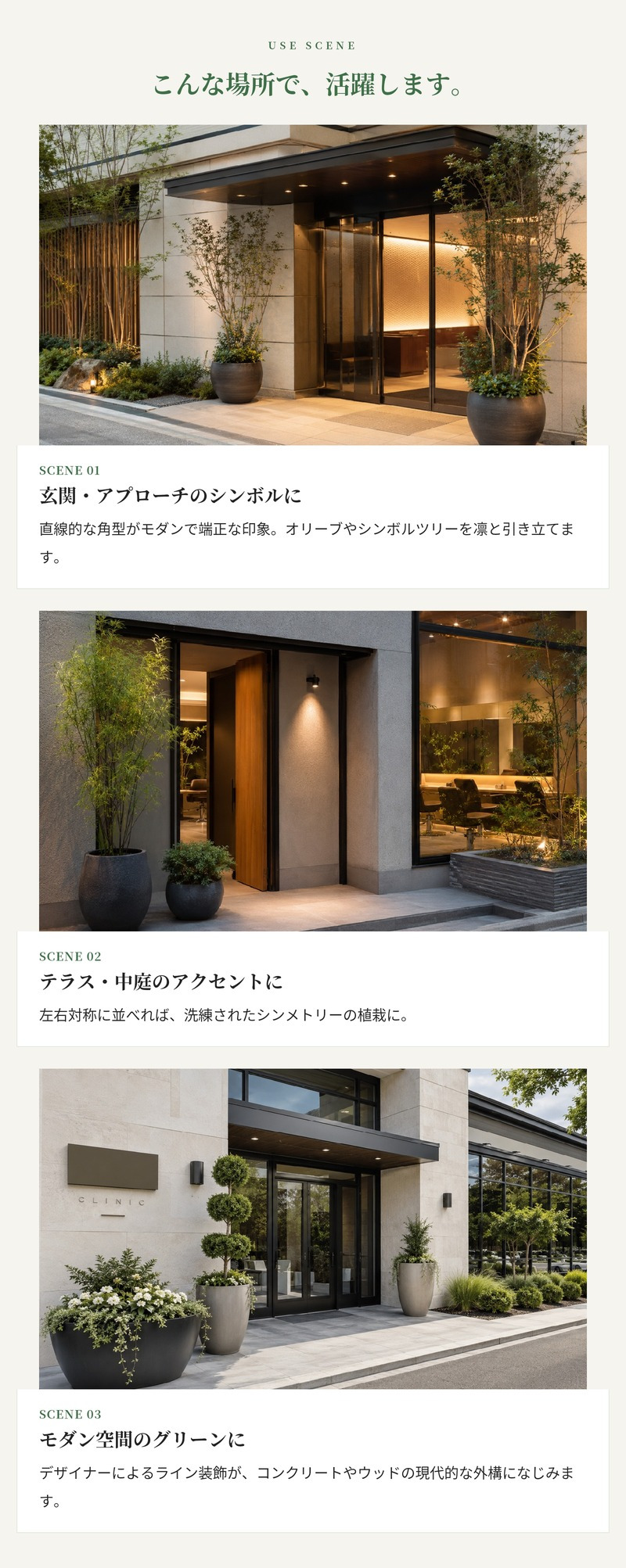 植木鉢 おしゃれ 大型 テラコッタ 素焼き アンティーク調 モカブラウン 角型 キューブ 正方形 KONTON コントン テラアストラ カペラキュビ AS-FQ6X L M S 約16号 約12号 約9号 底穴あり 屋外 テラス 庭 玄関 オリーブ 観葉植物 シンボルツリー デザイナー 大型プランター