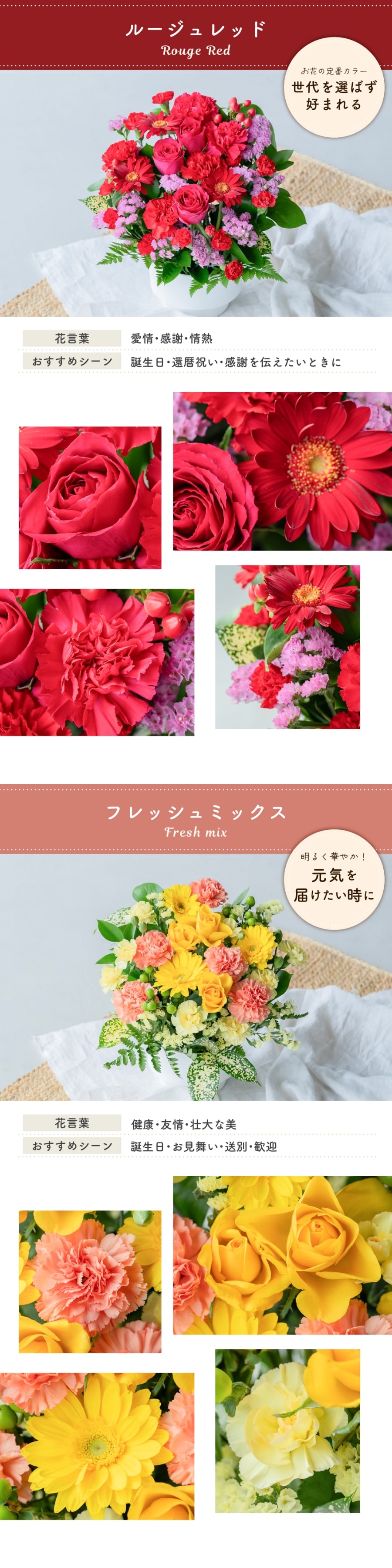 フラワーギフト カラフルガーデンフラワーアレンジメント Mサイズ 生花 花市場から直送 父の日  お祝い 誕生日 記念日