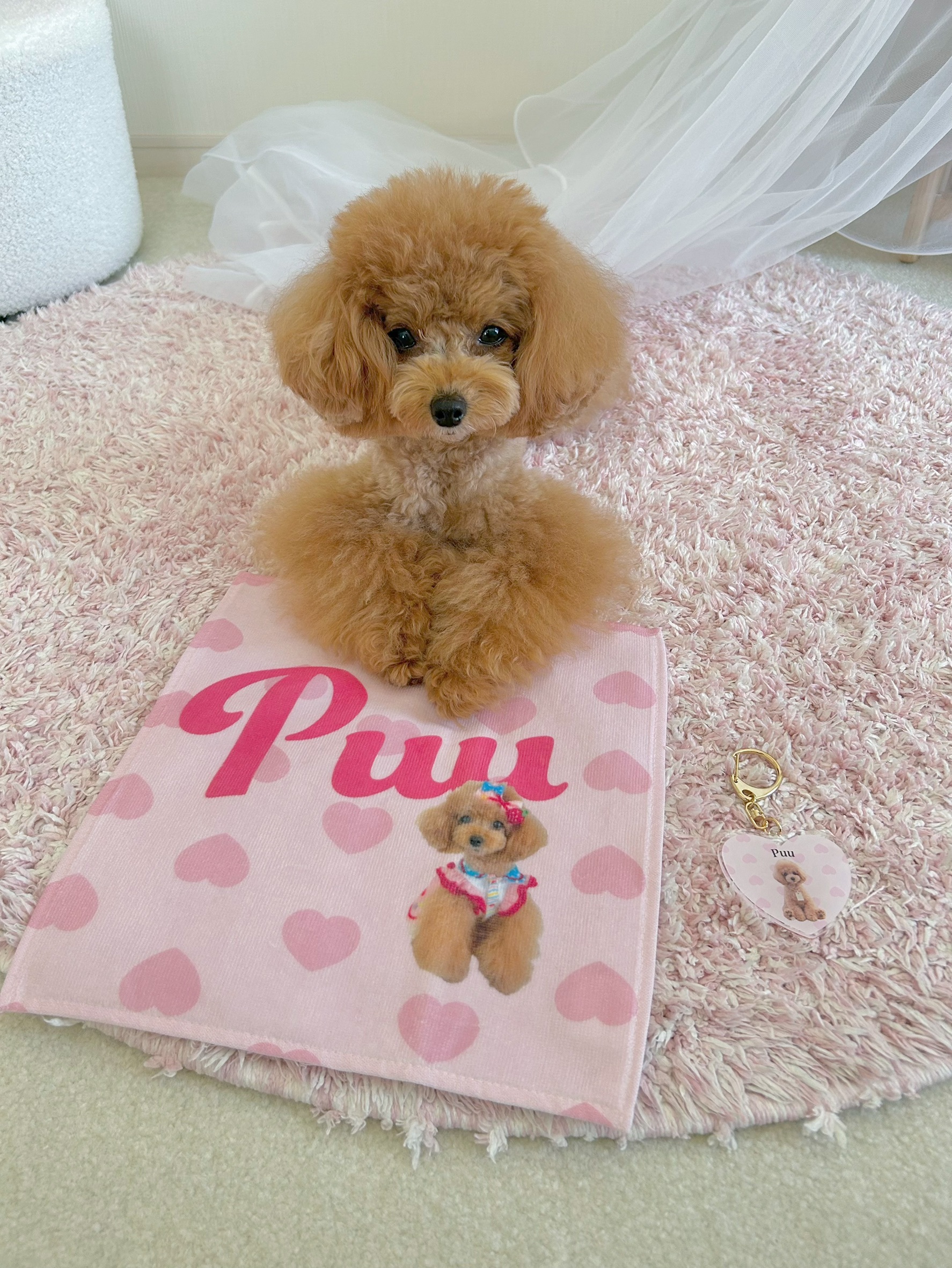 【toutouPINK】うちの子グッズ・ペットのお写真で作るハンドタオル | お誕生日 母の日 父の日 敬老の日 還暦祝い クリスマスプレゼント