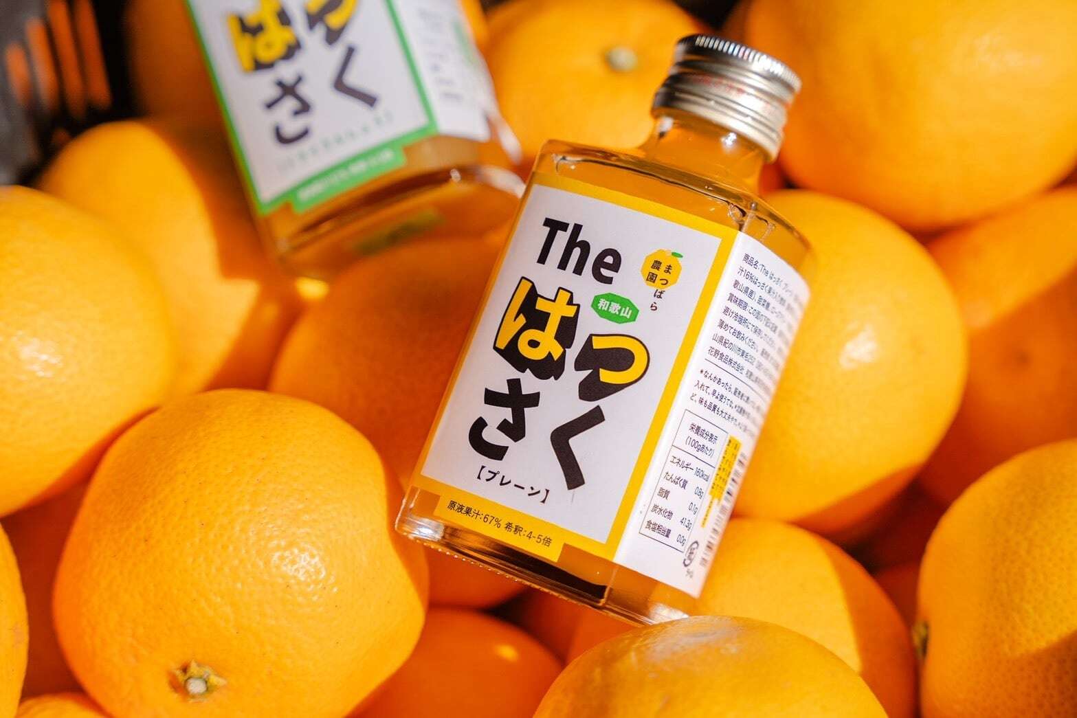 【3点入り・ギフトボックス】The はっさく 飲み比べセット｜プレーン・ドライさんしょう・生（PURE）